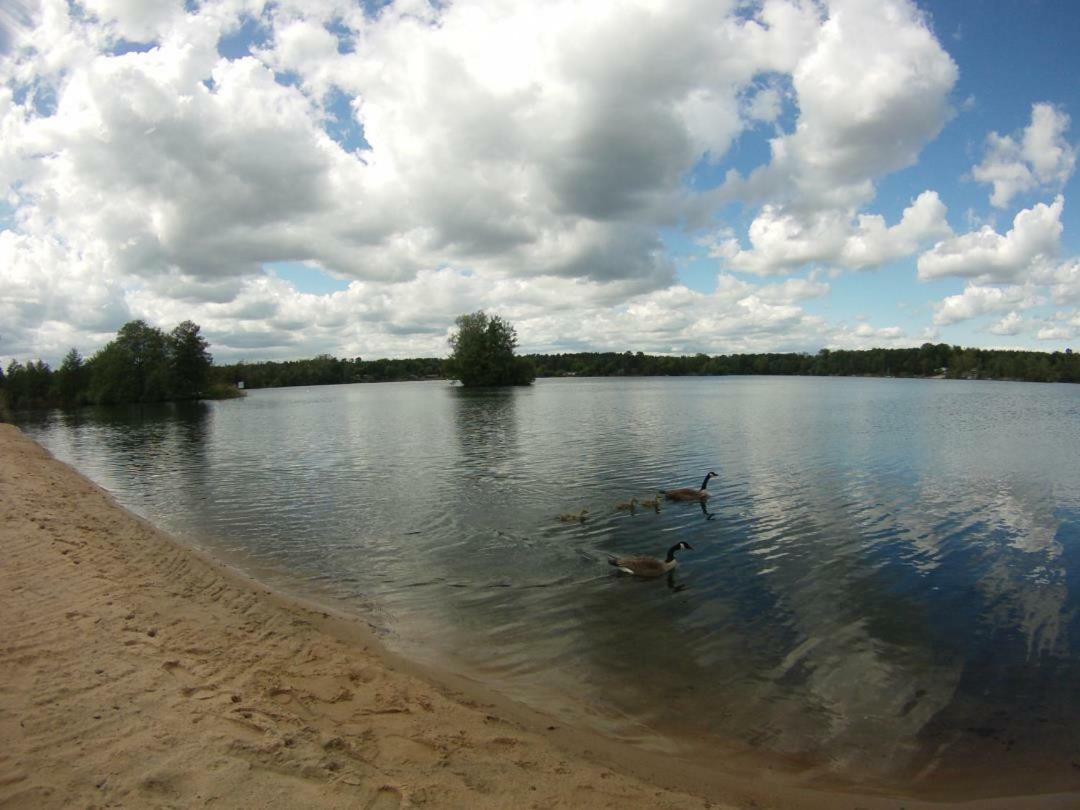Kahl am Main Chemnitz - Haus Am See Mit Sandstrand Nahe Rhein-Main Und Spessart מראה חיצוני תמונה